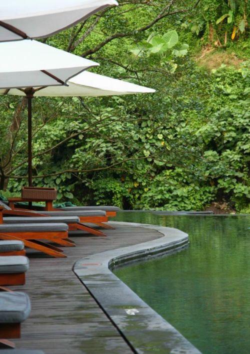 зN ڨqMaya Ubud 12