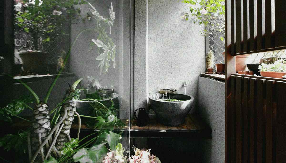 зN Ŷv my house09