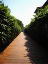 SUKHOTHAI02.jpg