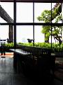 SIAM04.jpg